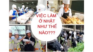 VIỆC LÀM TẠI NHẬT