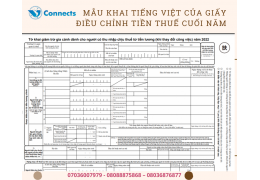 Mẫu khai tiếng Việt của giấy điều chỉnh tiền thuế cuối năm