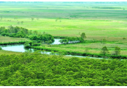 Đầm lầy Kushiro