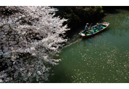 Du thuyền trên sông Yanagawa